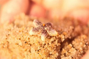 湖北旅游打卡必去景点（湖北旅游必去景区）