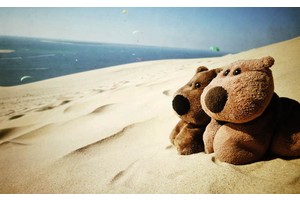 银川旅游度假村（银川旅游度假村电话）