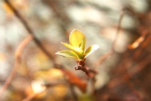 浙江著名景点一览：让你不可错过的旅游胜地！
