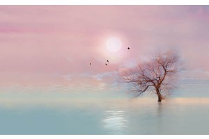 西安旅游必去几个景点推荐（西安旅游必去的景点）