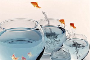 江苏如皋旅游攻略景点（江苏如皋旅游景点大全）