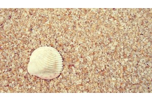 亚拉巴海旅游度假区（亚拉巴海旅游度假区在哪里）