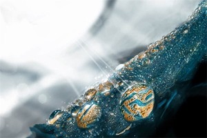 西藏游玩视频（西藏游玩视频素材）