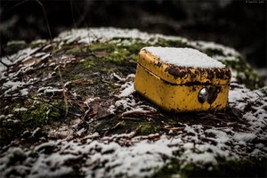 劳动公园租房（劳动公园租房多少钱）