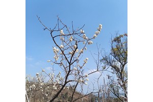 左贡旅游攻略景点必去（左贡有什么好玩的景区）