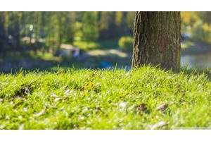 附近有哪些旅游景点（昆明附近有哪些旅游景点）