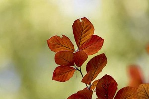 云南自驾旅游攻略（云南自驾旅游攻略景点）