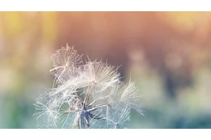 凌源那里好玩的地方（凌源哪好玩的地方）