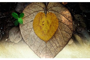 几月适合去稻城亚丁（几月适合去稻城亚丁温泉）