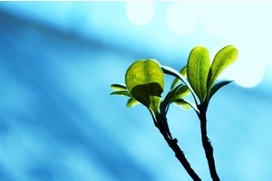 长沙南站周边景点推荐（长沙南站周边旅游景点）