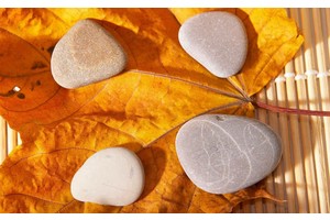 从上海去周庄旅游（从上海去周庄旅游路线）