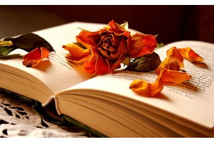 云南旅游团报（云南旅游团报价）