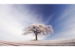 到广州旅游有哪些景点（到广州旅游有哪些景点免费）